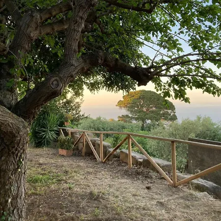 A Casa Di Peppino In Greco شقة باتي