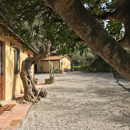 A Casa Di Peppino In Greco شقة باتي