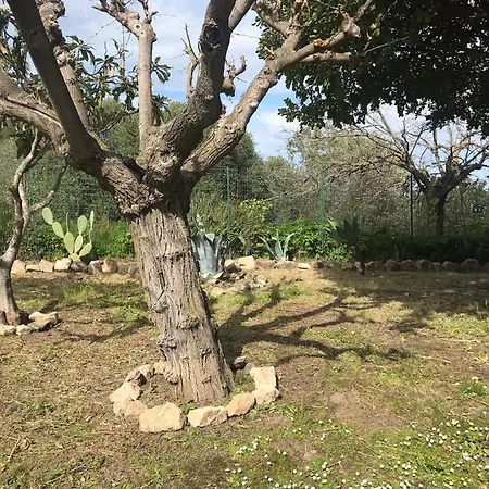 شقة A Casa Di Peppino In Greco *